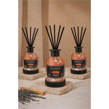 Promosyonik Sakız Bambu Çubuklu Oda Kokusu 100 ml Reed Diffuser 3 Adet