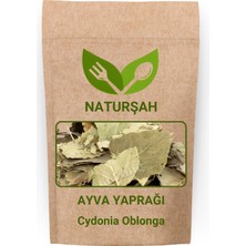 Naturşah Ayva Yaprağı / Cydonia Oblonga 50 gr