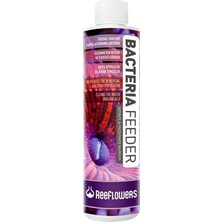 Reeflowers Bakteri Besini (50 Ml)