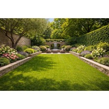 Yıldız Tohum 6 Li Karışım Çim Tohumu 1 kg Dayanıklı Yoğun Basilan Alanlar Için Ideal Çim Tohumu