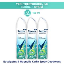 Rexona Thermocool Kadın Sprey Deodorant Eucalyptus & Magnolia 150 ml X3