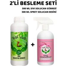 2li Çiçek Açtıran Bitki Besleme Seti