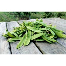 Yerli Bezelye Tohumu 20 Adet