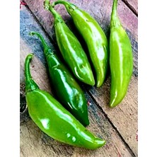 Yerli Acı Balık Biber Tohumu 10 Adet