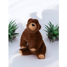 Dolce Mariee Boz Ayı Peluş Oyuncak – Yumuşak Dokulu Sevimli Ayıcık 35CM
