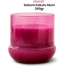 Marrien Hawai Vanilya Kokulu Mum 260 g  Mor Şeffa