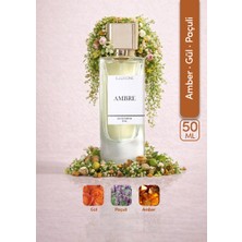ILLUSIONE Ambre EDP Kadın Parfüm 50ml | Amber-Paçuli-Gül | Bergamot, Sedir, Karanfil, Vetiver