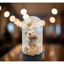 Hediye Paketim Ayıcıklı Büyük Fanus Sevgililer Günü Özel Gün Doğum Günü Hediyesi