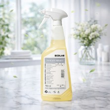 Ecolab Xense Anti Tobacco Profesyonel Sigara ve Tütün Koku Giderici Koku Nötralizatörü Ortam Spreyi 750 ml