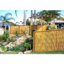 Bişkin 70CM Yükseklik x 200CM Genişlik Bambu Kamış Hasır Çit Dekoratif Bahçe Balkon ve Duvar Çiti Reedfence