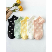 Çorap Kurdu 5'li Ekonomik Paket Papatya Desenli Kadın Kısa Patik Çorap Set