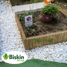 Bişkin Natural 20CM x 100CM Bambu Kamış Hasır Çit Dekoratif Bahçe Balkon ve Duvar Çiti Reed Fence