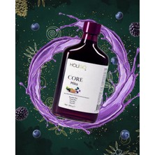 Holigo Core Miks 260GR (Pestisit ve Ağır Metal Analizli)