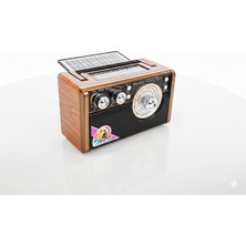 Radyo Çiftgüneş Panelli