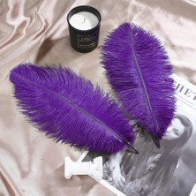 Kuzey Oyuncak 3 Adet Büyük Boy 35 cm Mor Deve Kuşu Tüyü Vıp Purple Ostrıch Feather Büyük Boy Dekor Mor Kuş Tüyü