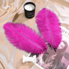 Kuzey Oyuncak 3 Adet Büyük Boy 35 cm Fuşya Deve Kuşu Tüyü Vıp Fuchsia Ostrıch Feather Dekor Fuşya Kuş Tüyü