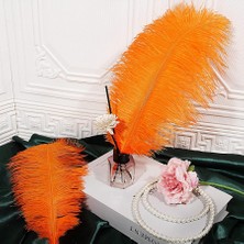 Kuzey Oyuncak 3 Adet Büyük Boy 35 cm Turuncu Deve Kuşu Tüyü Orange Ostrıch Feather Vıp Dekor Turuncu Kuş Tüyü