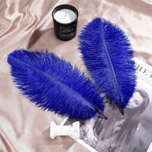 Kuzey Oyuncak 3 Adet Büyük Boy 35 cm Koyu Mavi Deve Kuşu Tüyü Dark Blue Ostrıch Feather Dekor Koyu Mavi Kuş Tüyü