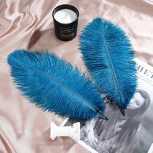Kuzey Oyuncak 3 Adet Büyük Boy 35 cm Açık Mavi Deve Kuşu Tüyü Light Blue Ostrıch Feather Dekor Açık Mavi Kuş Tüyü