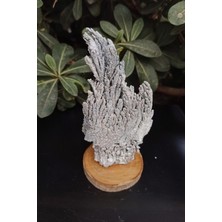 Pozitif Doğal Taş Dekoratif Magnezyum Cevheri Koleksiyonluk Parça Mg7