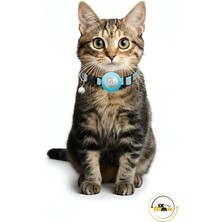 MixmioLife Airtag Yuvalı Kedi ve Köpek Tasması Kilitli Güvenlik Aparatı Airtag Kılıfı ve Zil Boyun Tasması Gps