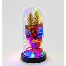 Kafkas Store I-Tdr Yılbaşı Temalı Işıklı  Dekoratif Cam Fanus ALK5081