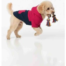 Buddy Store Kontrast Koleksiyon Kapüşonlu Köpek Hoodie – Rahat Sweatshirt