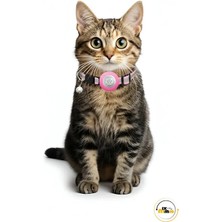 MixmioLife Airtag Yuvalı Kedi ve Köpek Tasması Kilitli Güvenlik Aparatı Airtag Kılıfı ve Zil Boyun Tasması Gps