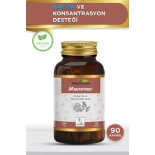 Hekimzade MAMMOR 90 Kapsül 500 mg – Ginkgo İçeren Hafıza ve Konsantrasyon Destek Formülü