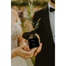 Egeo Norte Katkısız Çiğ Badem 250GR