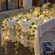 Eco Lounge Güneş Enerjili Sarmaşık LED Dekor 5 Metre