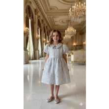  kız Çocuk Eteği Kabarık Doğum Günü Bayramlık Abiye  Gümüş Renk Elbise