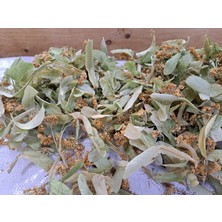Taze Çiçek Ihlamur-Yapraksız-Ayıklanmış Saf Çiçek Ihlamur Çayı 50 Gr.