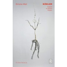 Storemax Kökler - Insanın ve Ruhun Ihtiyacı