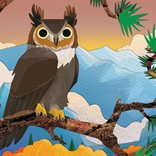 Storemax Tepeden Kuyruğa - Kuşlar