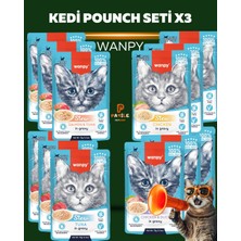 Wanpy Yaş Kedi Maması Paketi 12X70 gr (Tavuk&ördek, Somon&ton, Ton, Tavuk) 🐾