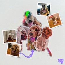 Kişiye Özel Holografik Evcil Hayvan Sticker Seti (4’lü) – Fotoğraftan Özel Tasarım