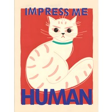 Boketto Opus - Kedi "impress Me Human" Dekoratif Poster Modern Duvar Posteri Estetik Tablo