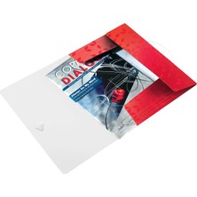 Storemax Ince Lastikli Dosya