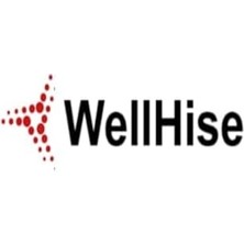 Storemax St-14 Anti-Statik Tweezers Cımbız