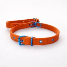 Tasma Atalier Büyük Boy Köpek Tasması 45 – 60cm