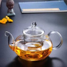 PremiumPort Şeffaf Cam Demlik 600 ml ve Süzgeç Seti, Pratik Çay Demleme
