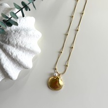 Alice İsstanbul Çelik Incili Deniz Kabuğu Kolye