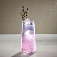 UltraMint Mirage Nude 64002 Uzun Kokteyl Bardağı 330 cc 6'lı Set