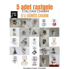 Janra World 5 Adet Rastgele Çelik Italyan Charm 9mm Italyan Charm Bileklik Uyumlu -Sallantılı & Sallantısız