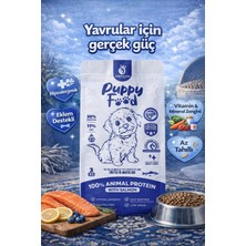 Anatolion Pet Foods Anatolion Puppy Eklem Destekli Somonlu Yavru Köpek Maması 3 kg