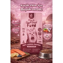 Anatolion Pet Foods Anatolion Mini Adult Eklem Destekli Somonlu Super Premium Küçük Irk Köpek Maması 3 kg