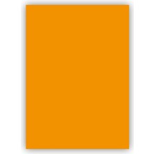 Bigpoint Fon Kartonu 50 x 70 cm 160 gr Turuncu 100'lü Paket