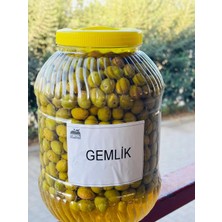 Egeo Norte Gemlik Yeşil Zeytin (3l Ambalaj)