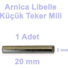 Arnica Libella Fırçalı Turbo Başlık Küçük Tekerlek Mili (Eski Model Ep Tf Orjinal Yedek Parça)